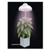 Lampa pěstební EMOS Z7901 Grow 5W