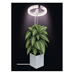 Lampa pěstební EMOS Z7902 Grow 8W
