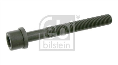 FEBI BILSTEIN 06666 EAN: 4027816066668.