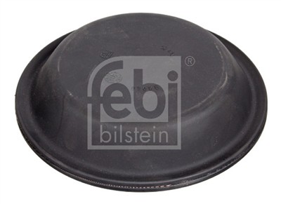 FEBI BILSTEIN 07098 EAN: 4027816070986.