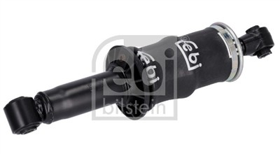 FEBI BILSTEIN 106672 EAN: 4054224066720.