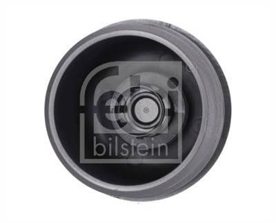 FEBI BILSTEIN 179281 EAN: 4054224792810.