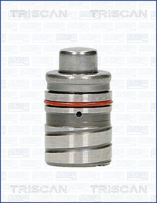 TRISCAN 80-50000 EAN: 8427769455049.