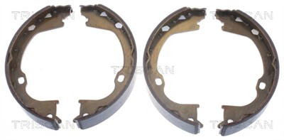 TRISCAN 8100 80019 EAN: 5710476207166.