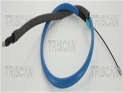 TRISCAN 8140 10146