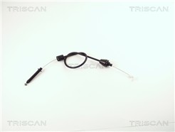 TRISCAN 8140 25318