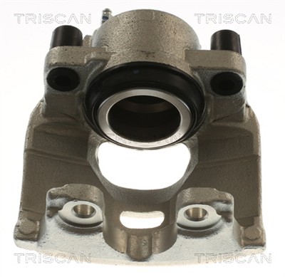 TRISCAN 8175 10111 EAN: 5710476388810.