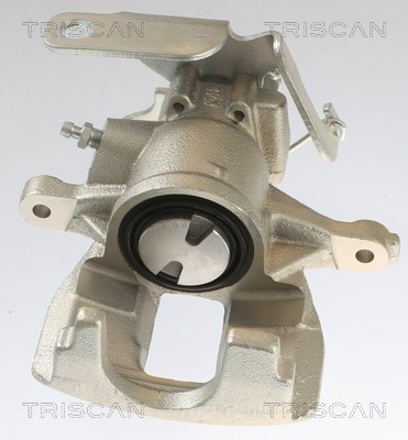 TRISCAN 8175 16202 EAN: 5710476390004.