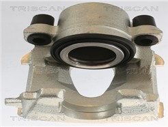 TRISCAN 8175 29106