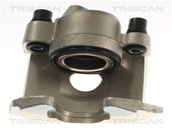 TRISCAN 8175 29165