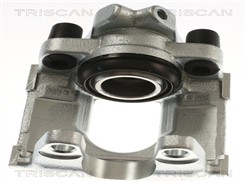 TRISCAN 8175 292015
