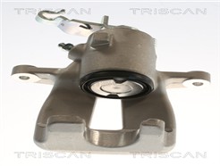 TRISCAN 8175 29205