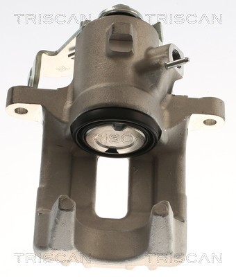 TRISCAN 8175 29225 EAN: 5710476391131.