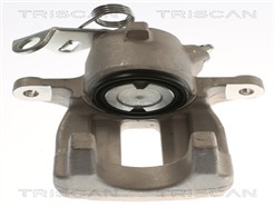 TRISCAN 8175 29293