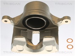 TRISCAN 8175 43105