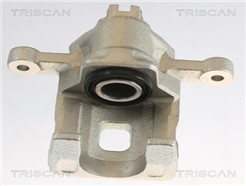 TRISCAN 8175 43207
