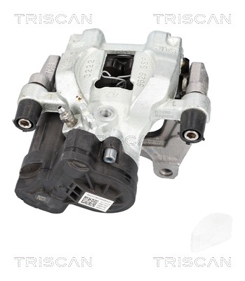TRISCAN 8175 82203
