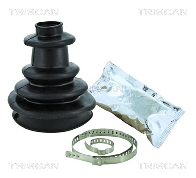 TRISCAN 8540 12 EAN: 5710476156709.