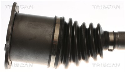 TRISCAN 8540 296081 EAN: 5710476443298.