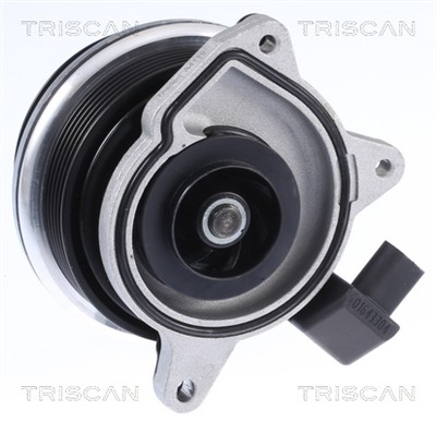 TRISCAN 8600 29062 EAN: 5710476283818.