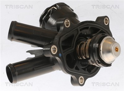 TRISCAN 8620 481103 EAN: 5710476318039.