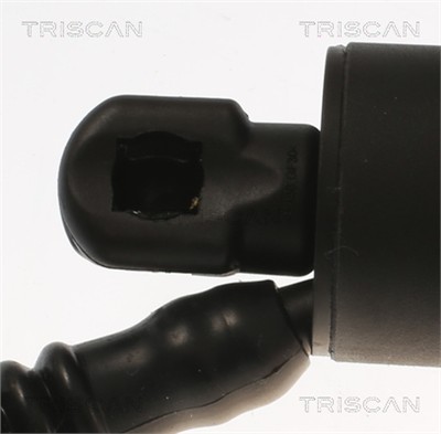 TRISCAN 8710 11308 EAN: 5710476354648.