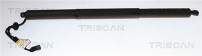 TRISCAN 8710 11370 EAN: 5710476479365.