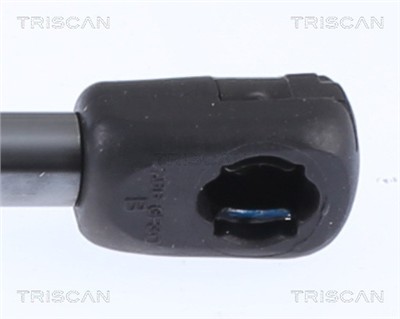 TRISCAN 8710 15257 EAN: 5710476324610.