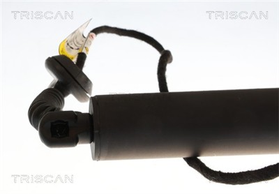 TRISCAN 8710 16317 EAN: 5710476479549.