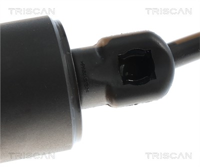 TRISCAN 8710 24302 EAN: 5710476451996.