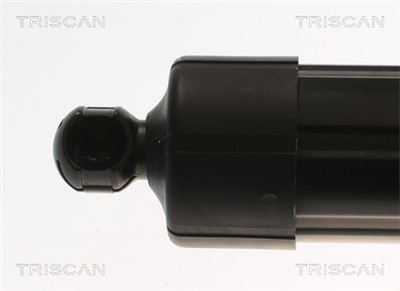 TRISCAN 8710 27308