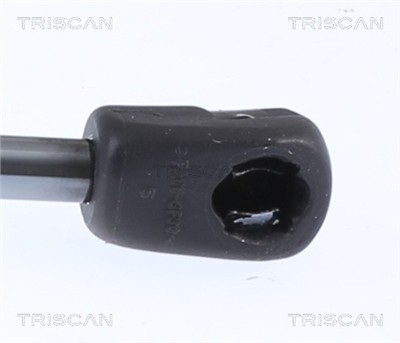 TRISCAN 8710 29153 EAN: 5710476324368.