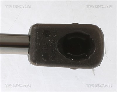 TRISCAN 8710 29155 EAN: 5710476392886.