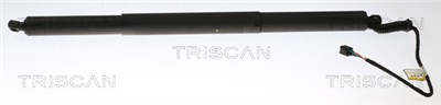 TRISCAN 8710 29306 EAN: 5710476354778.