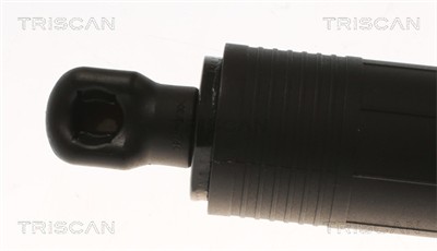 TRISCAN 8710 29306 EAN: 5710476354778.