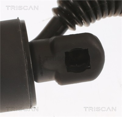 TRISCAN 8710 29306 EAN: 5710476354778.