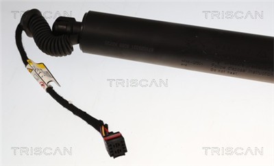TRISCAN 8710 29331 EAN: 5710476479877.