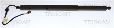 TRISCAN 8710 29336 EAN: 5710476479334.