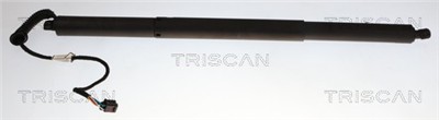 TRISCAN 8710 29338 EAN: 5710476480163.