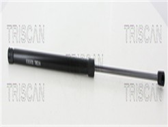TRISCAN 8710 38246
