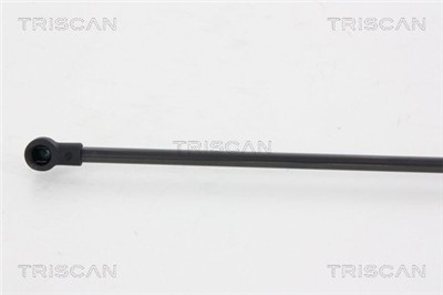 TRISCAN 8710 66207 EAN: 5710476029904.