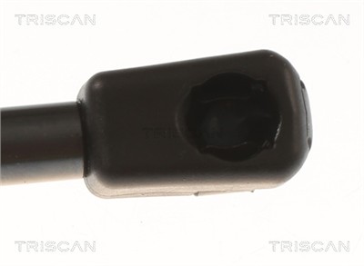 TRISCAN 8710 81204 EAN: 5710476445162.