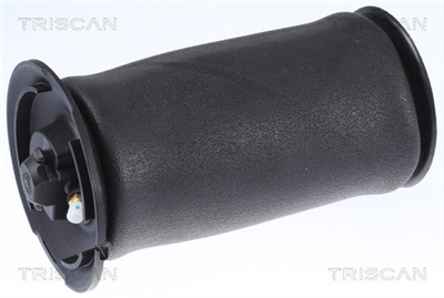 TRISCAN 8720 11202 EAN: 5710476326645.
