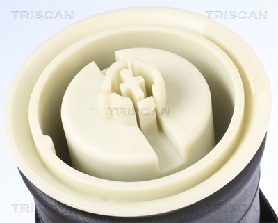 TRISCAN 8720 11203 EAN: 5710476326652.