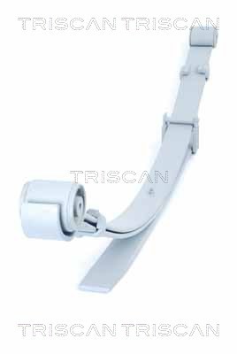 TRISCAN 8765 29021 EAN: 7394410125907.