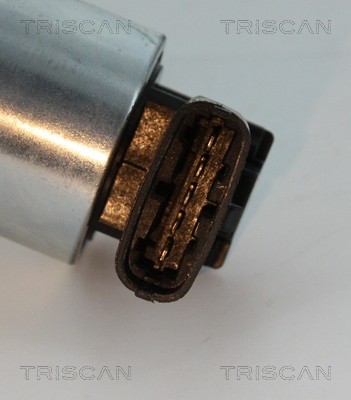 TRISCAN 8813 24102 EAN: 5710476231031.