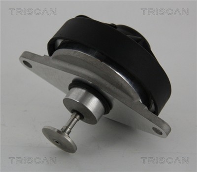 TRISCAN 8813 24202 EAN: 5710476238139.