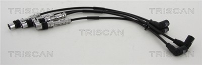 TRISCAN 8860 29031 EAN: 5710476090362.