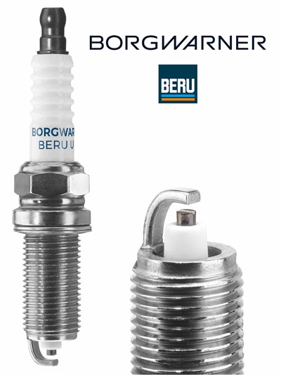 BERU Z273 EAN: 4014427179689.