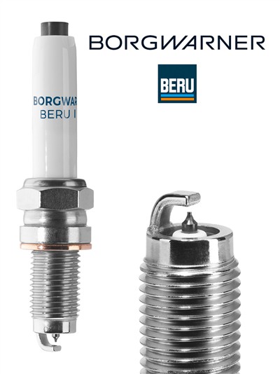 BERU Z365 EAN: 4014427179252.